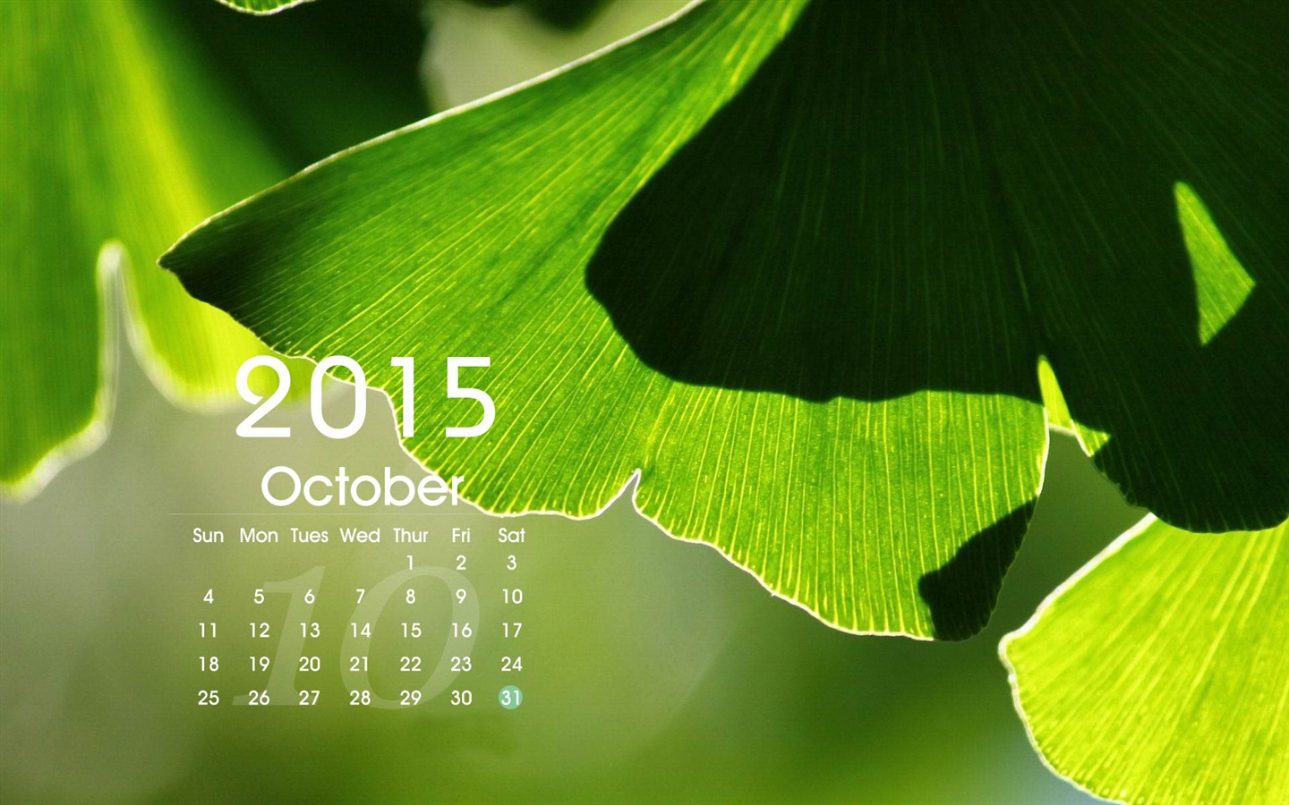 Kalendář 2015 HD tapety na plochu #15 - 1440x900