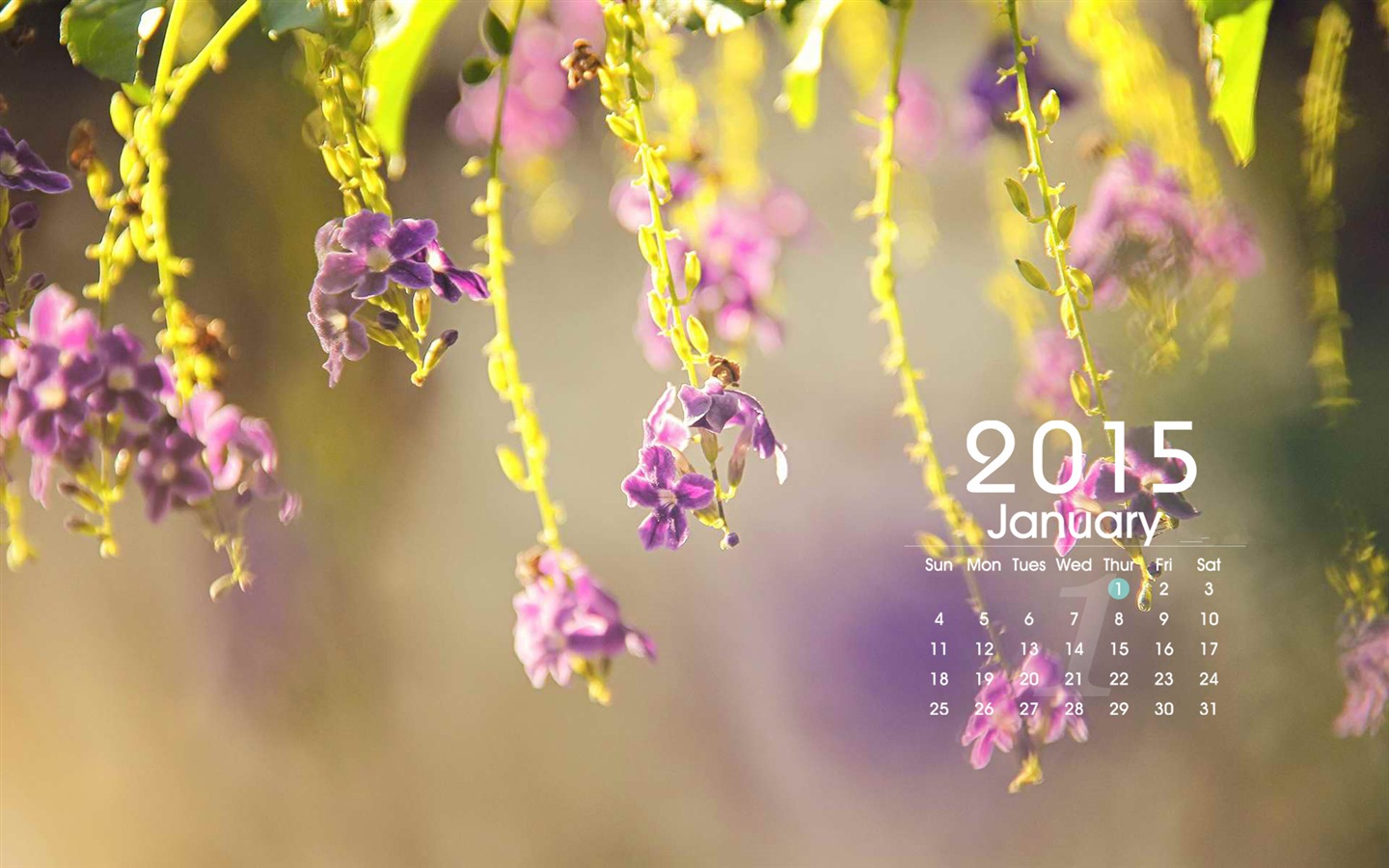 January 2015 calendar wallpaper (1) #1 - 1440x900