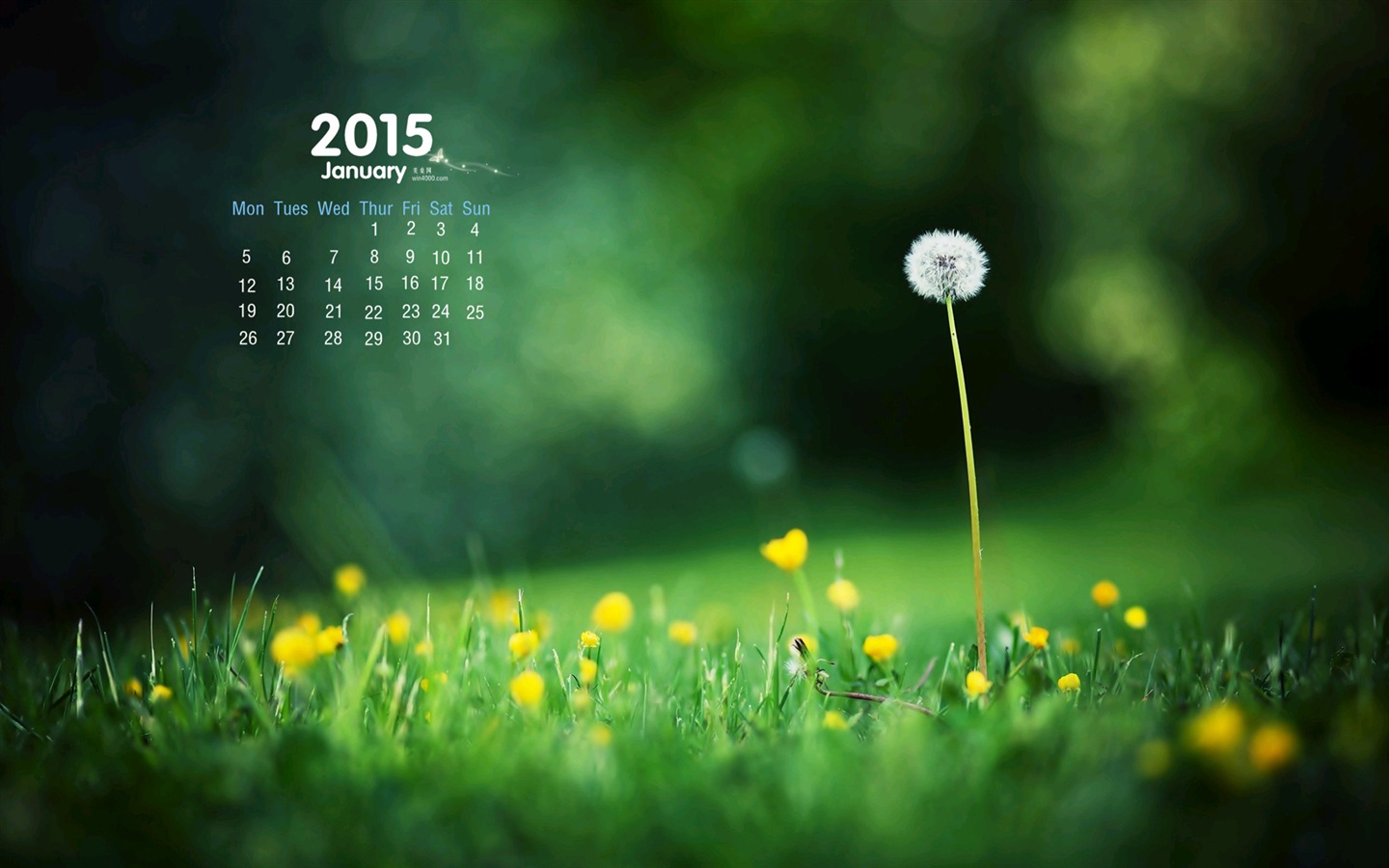 Janvier 2015 calendar fond d'écran (1) #15 - 1440x900