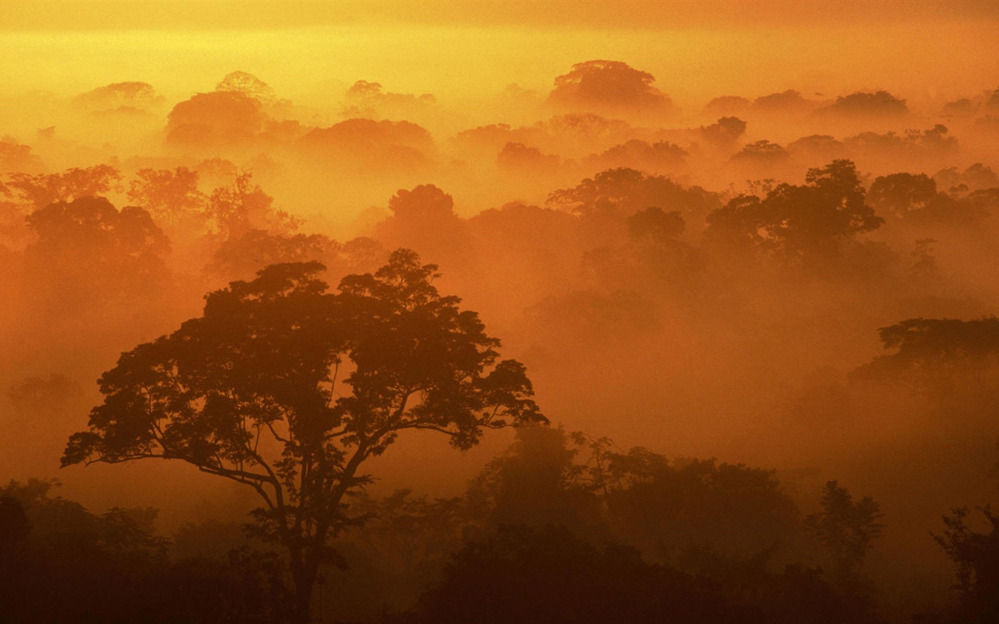 Fondos de pantalla seductora hermosa HD paisajes naturales #3 - 1440x900