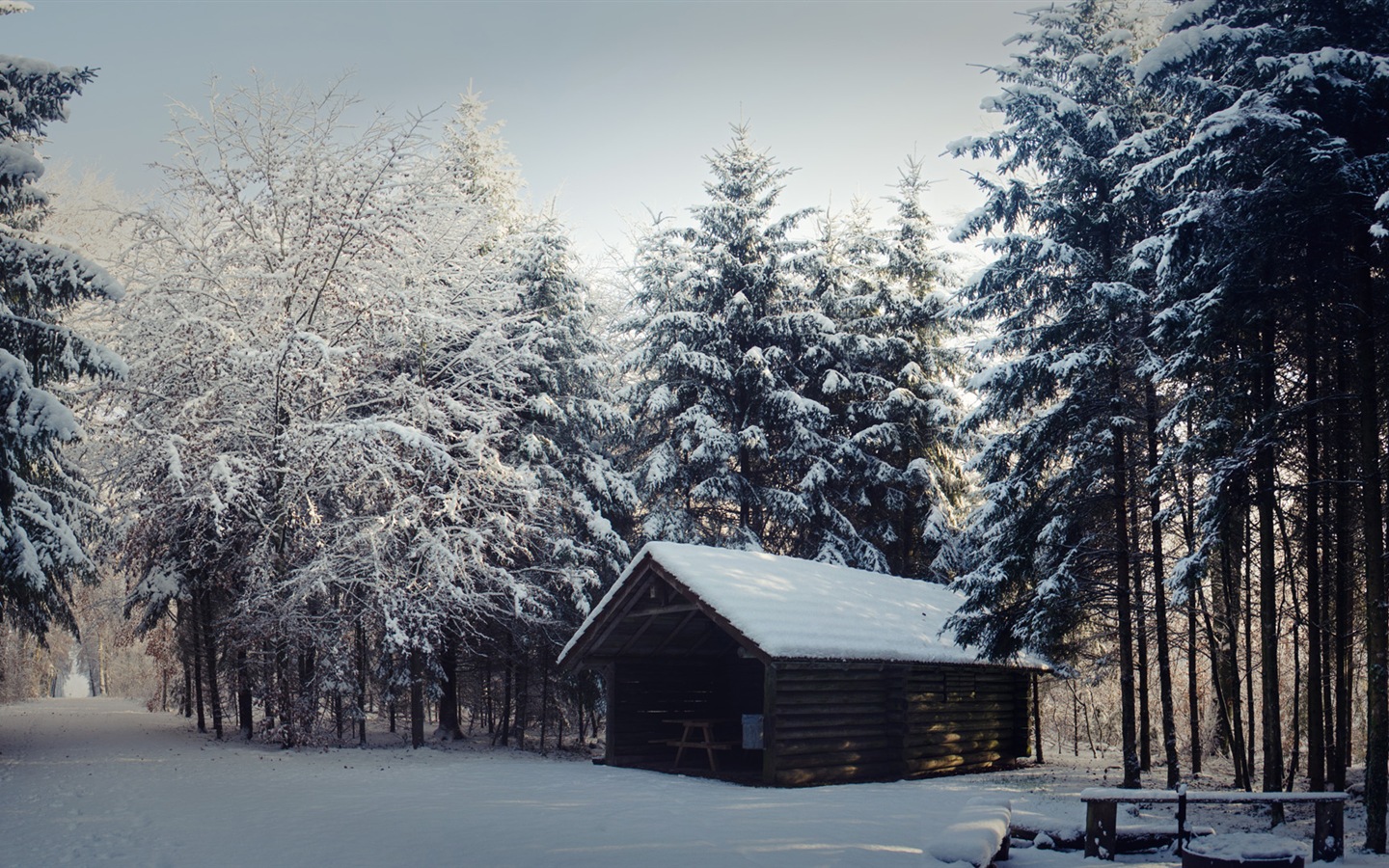 겨울 눈 아름다운 풍경의 HD 월페이퍼 #12 - 1440x900