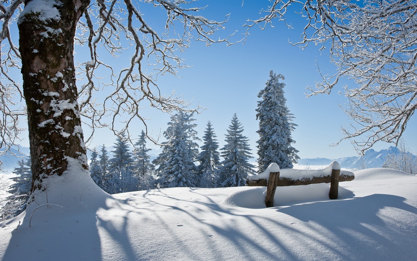 Winter snow beautiful scenery HD wallpapers #13 - 1440x900