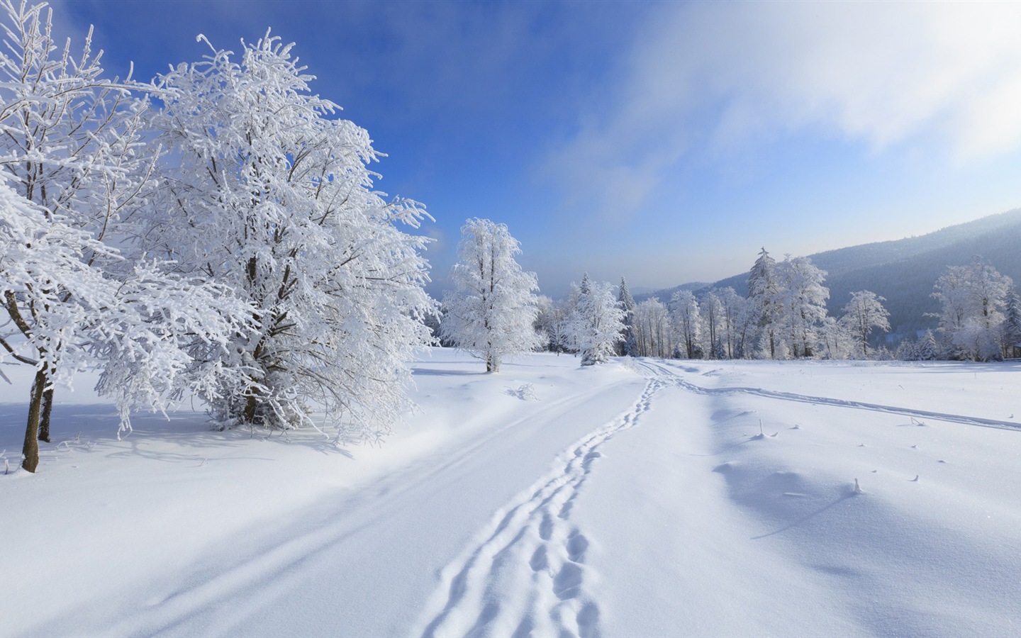Winter snow beautiful scenery HD wallpapers #14 - 1440x900