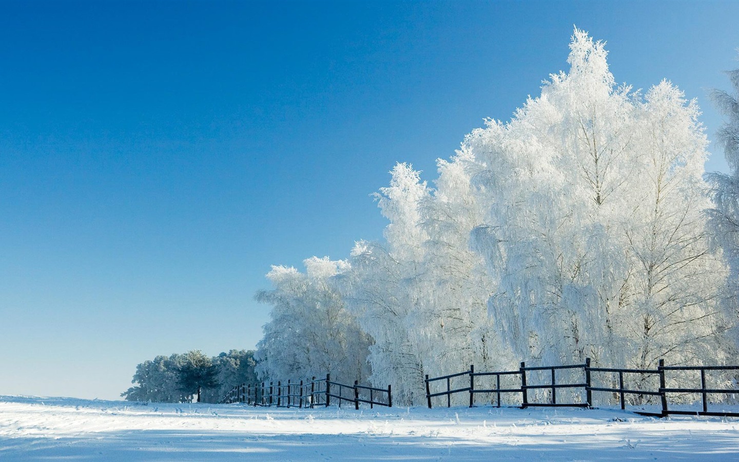 Winter snow beautiful scenery HD wallpapers #15 - 1440x900