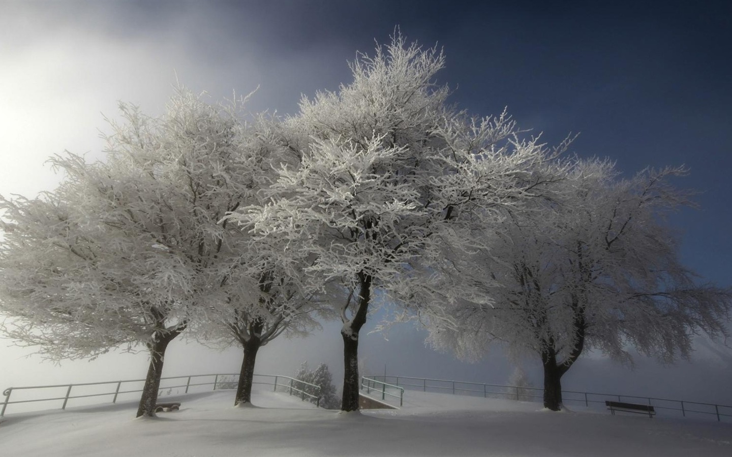 Neige d'hiver fonds d'écran HD magnifique de paysages #18 - 1440x900