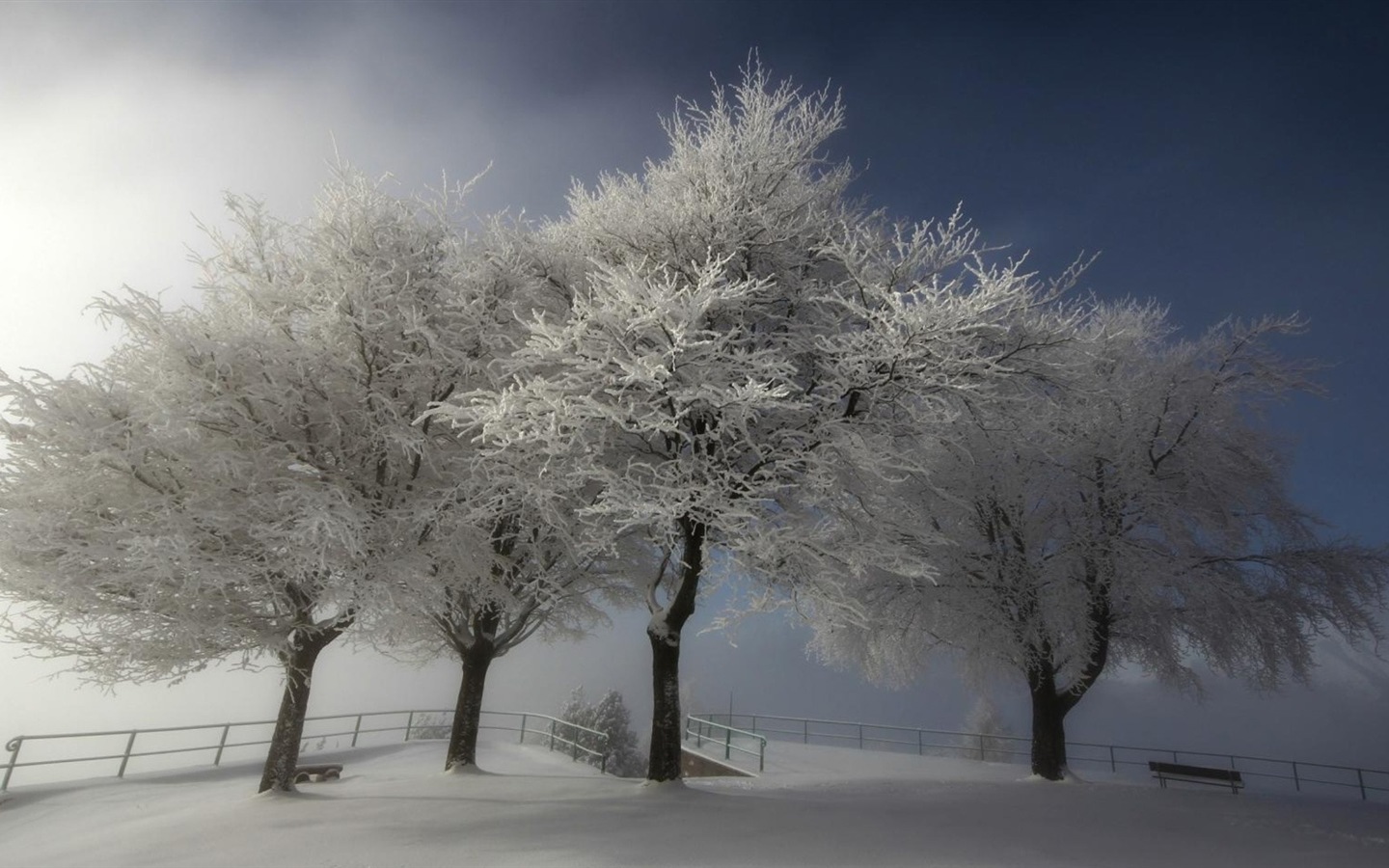 冬季冰雪美景 高清壁纸18 - 1440x900