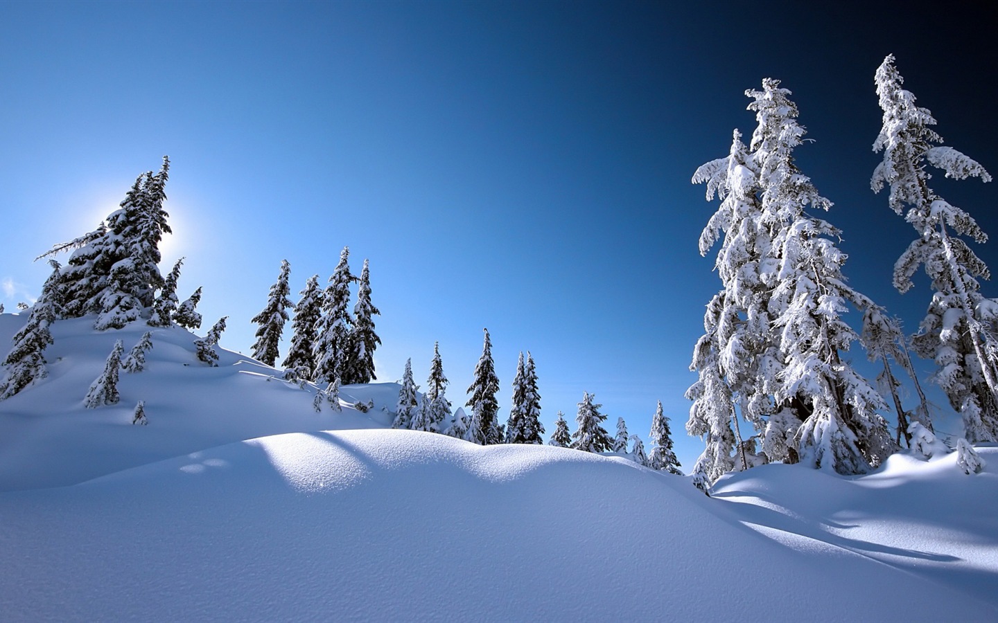 La nieve del invierno fondos de pantalla HD hermoso paisaje #19 - 1440x900