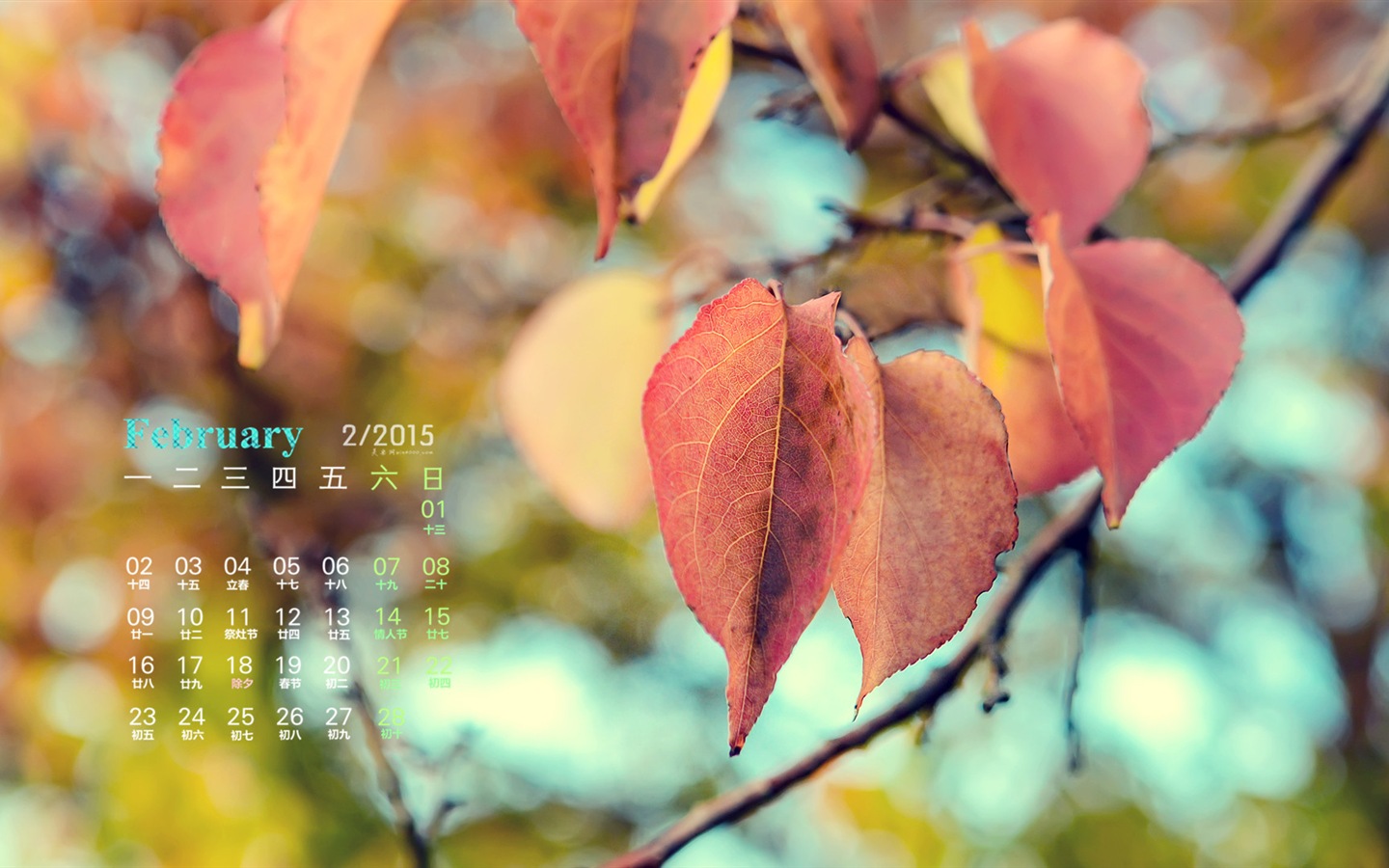 2015年2月 月曆壁紙(一) #10 - 1440x900