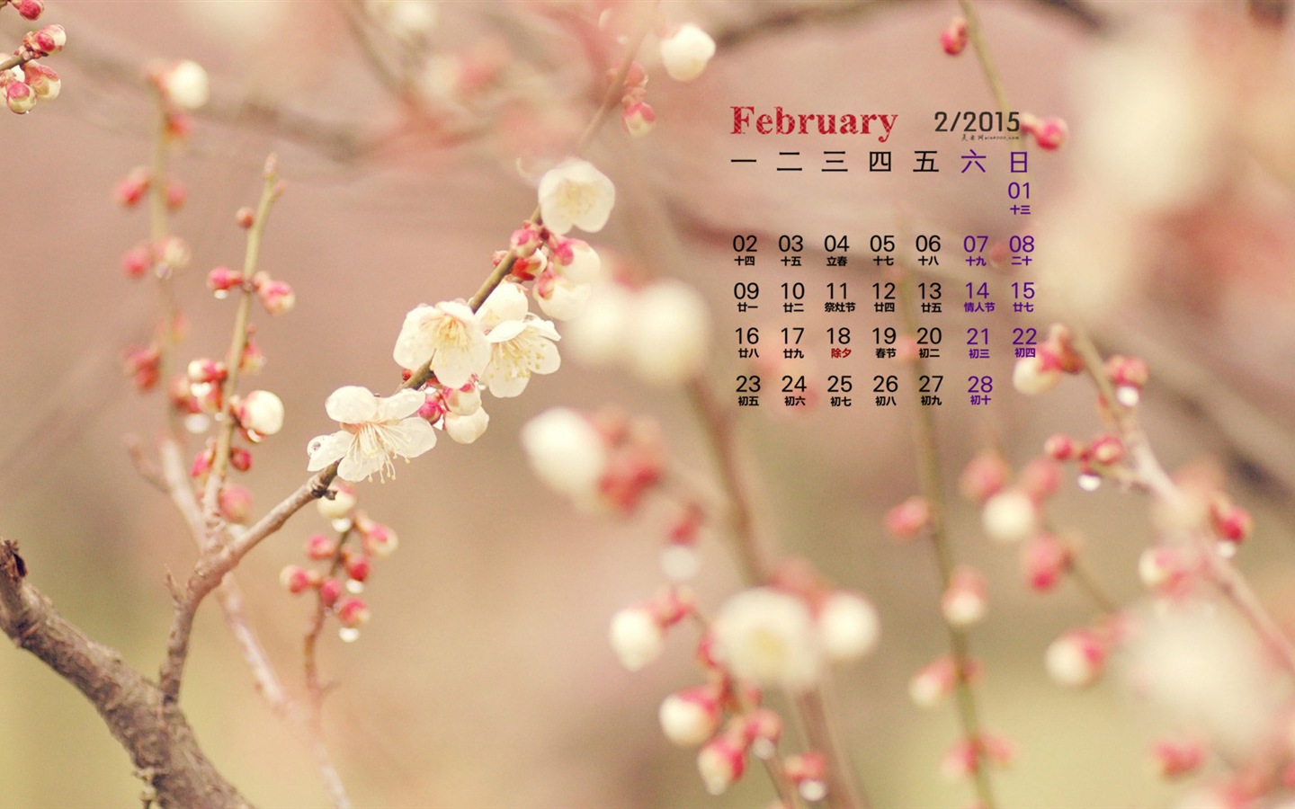 Februar 2015 Kalender Wallpaper (1) #12 - 1440x900