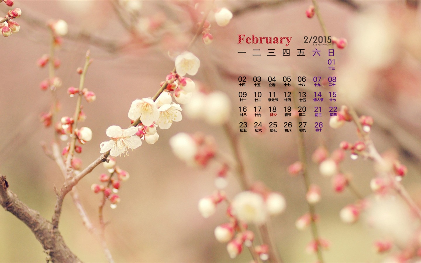 2015年2月 月曆壁紙(一) #12 - 1440x900