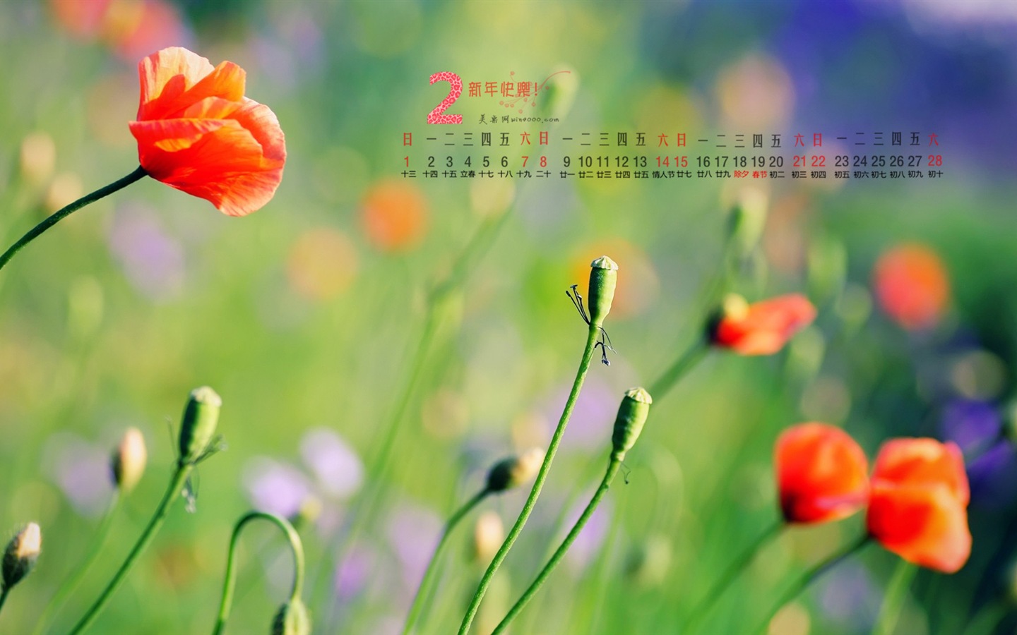 2015年2月 月曆壁紙(一) #13 - 1440x900