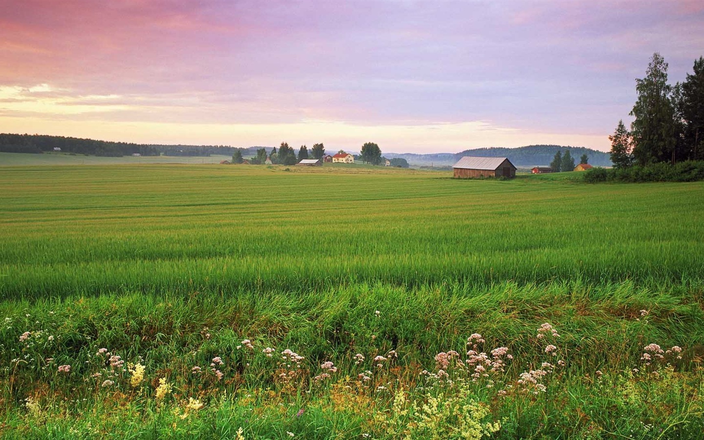 Nordic herrliche Landschaft HD Wallpaper #10 - 1440x900