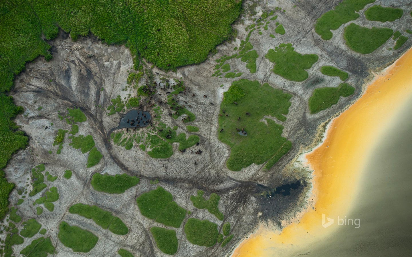 Janvier 2015 fonds d'écran HD Bing #12 - 1440x900