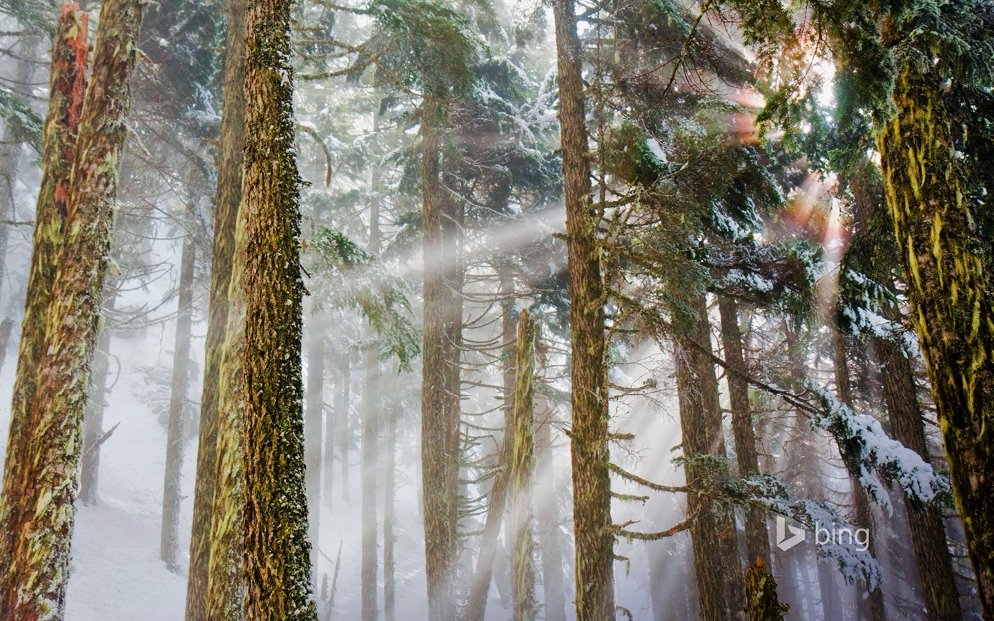 Janvier 2015 fonds d'écran HD Bing #30 - 1440x900