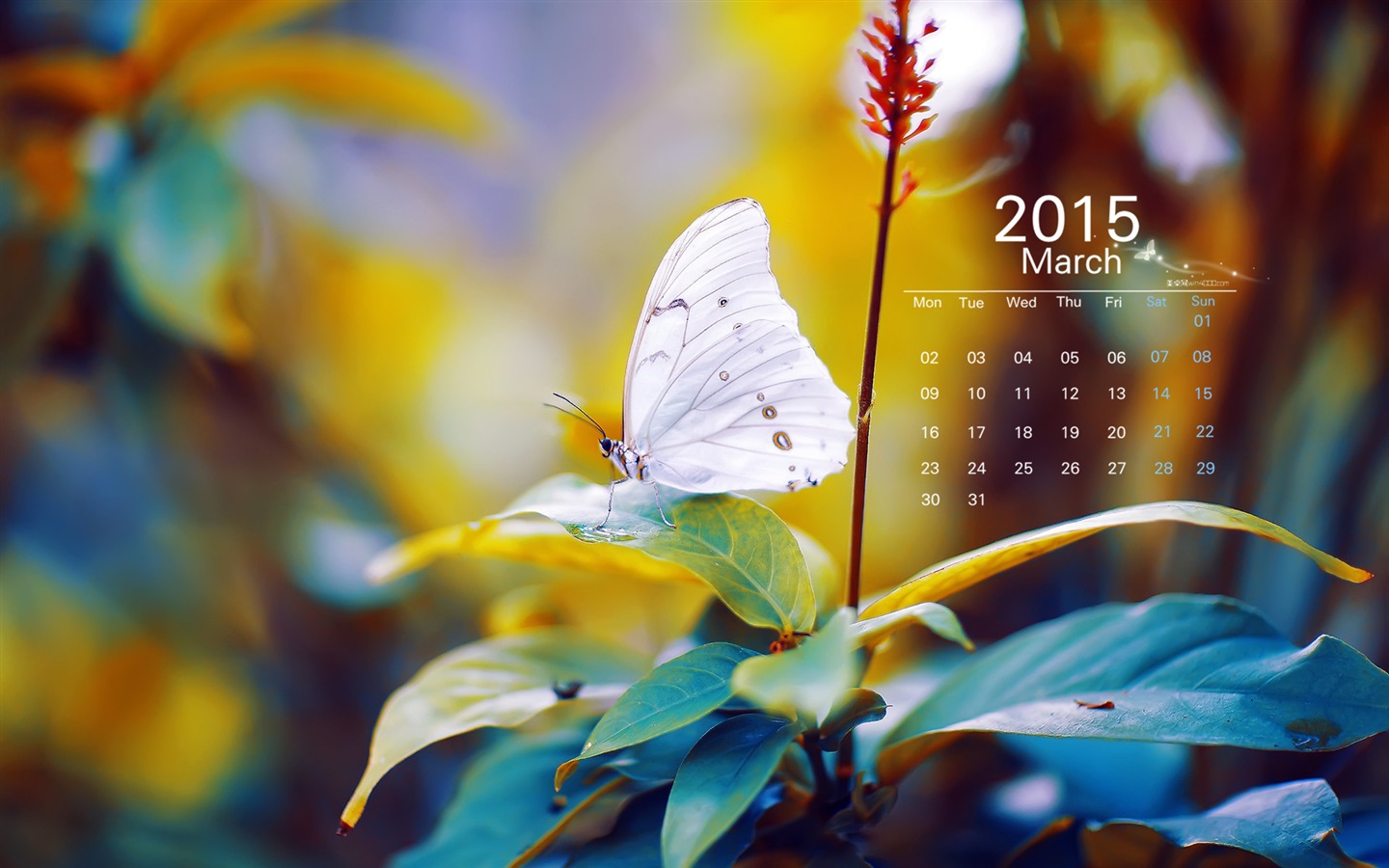 2015年3月 月曆壁紙(一) #8 - 1440x900