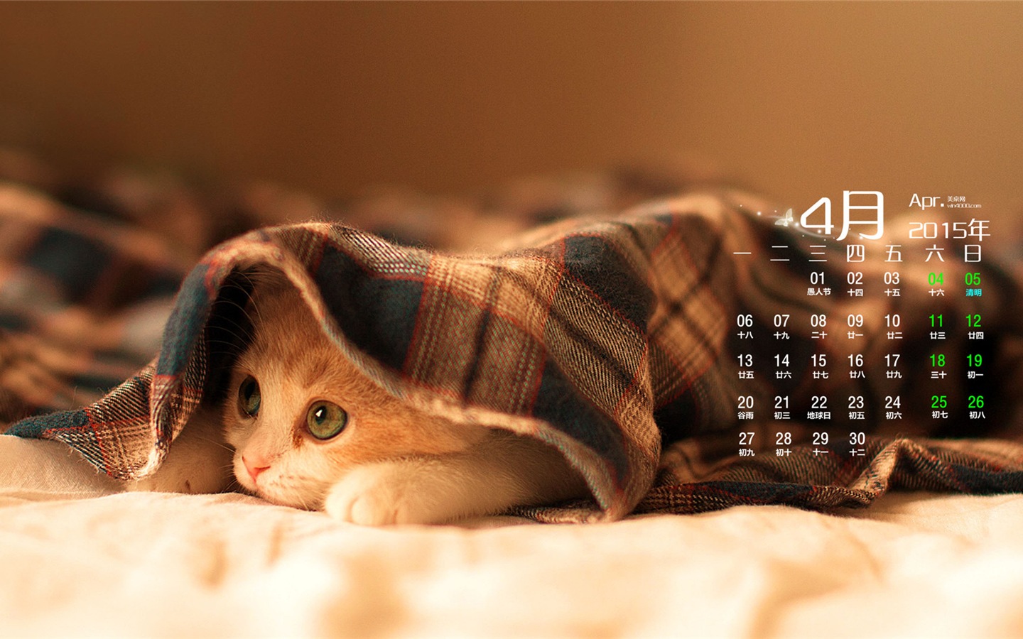 2015年4月 月曆壁紙(二) #13 - 1440x900