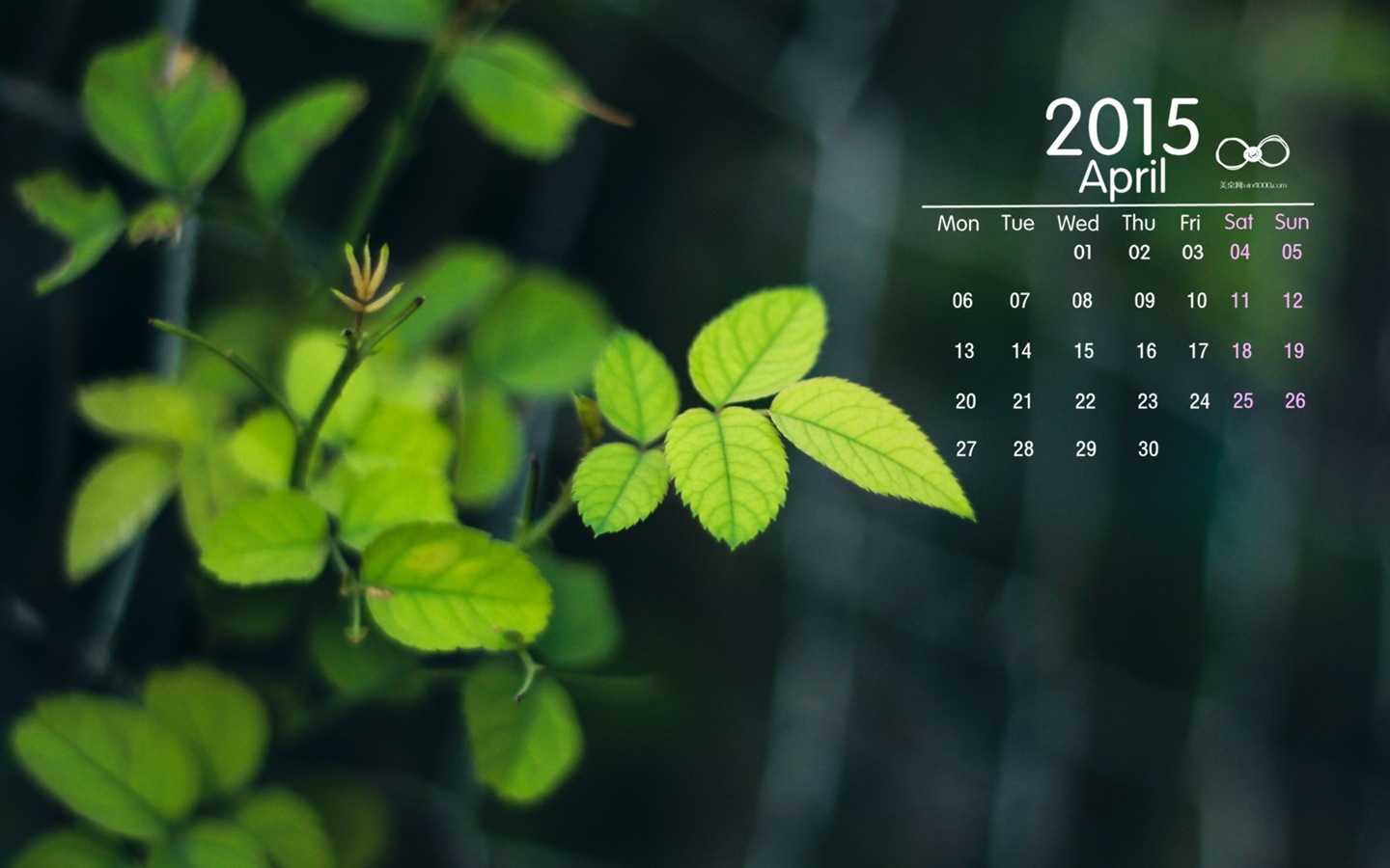 Dubna 2015 kalendář tapety (2) #14 - 1440x900