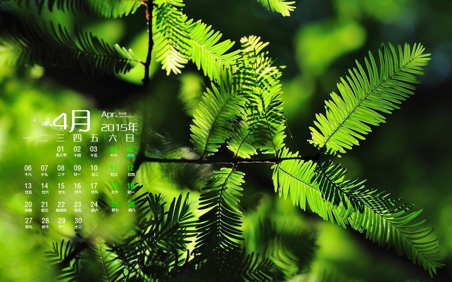 2015年4月 月曆壁紙(二) #18 - 1440x900