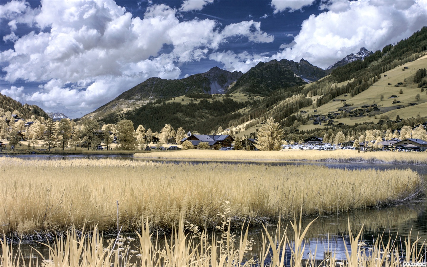 田园风景，Windows 8 高清壁纸7 - 1440x900