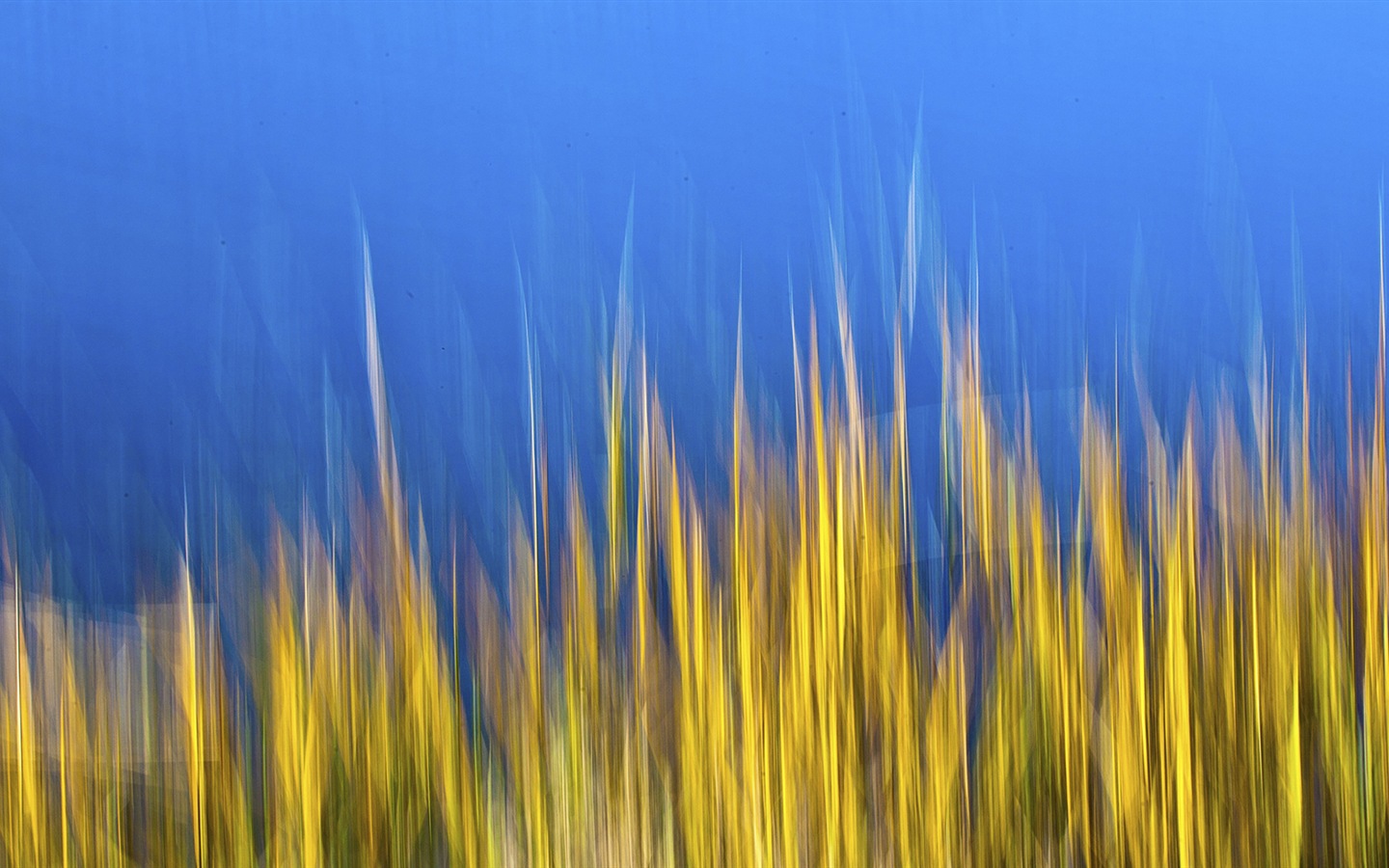 Windows 10 預覽版高清壁紙 #23 - 1440x900