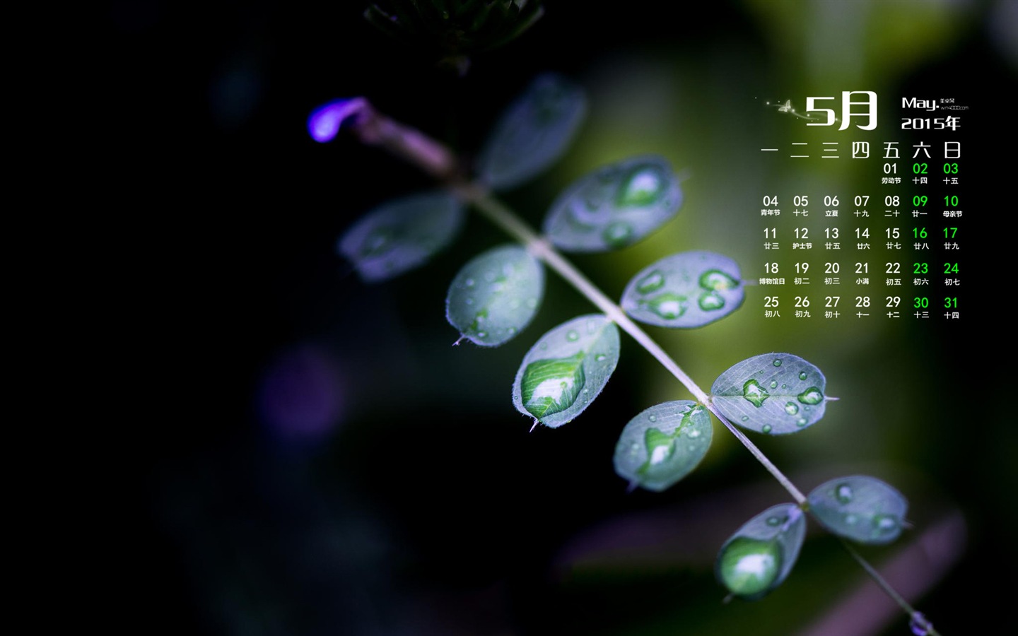 May 2015 calendar wallpaper (1) #7 - 1440x900