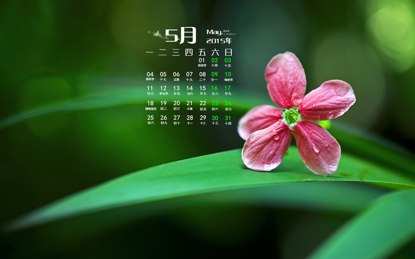 2015年5月 月历壁纸(一)8 - 1440x900