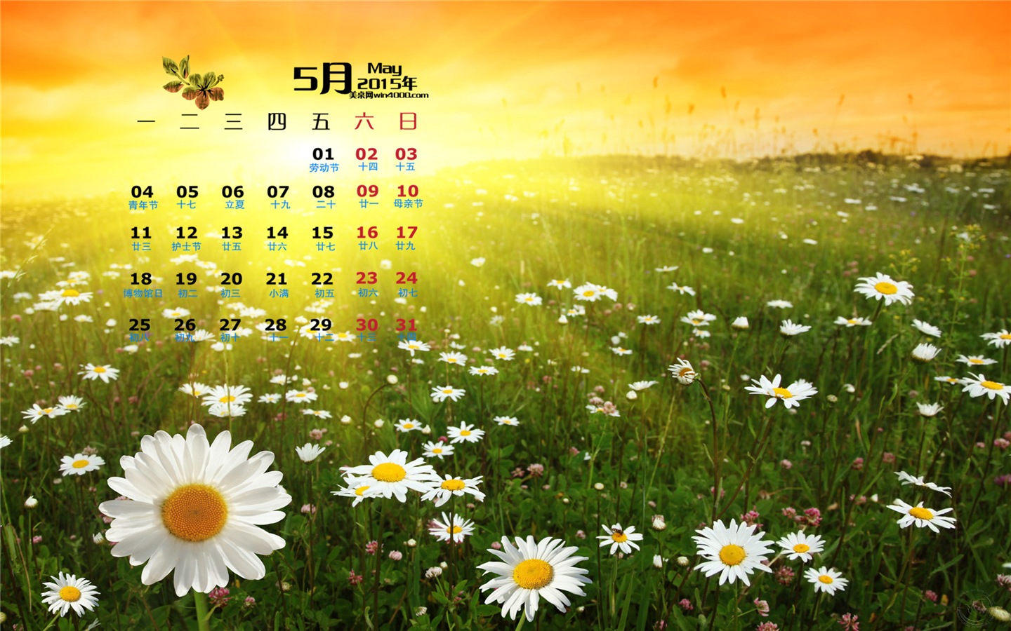 Mai 2015 Kalender Wallpaper (1) #15 - 1440x900