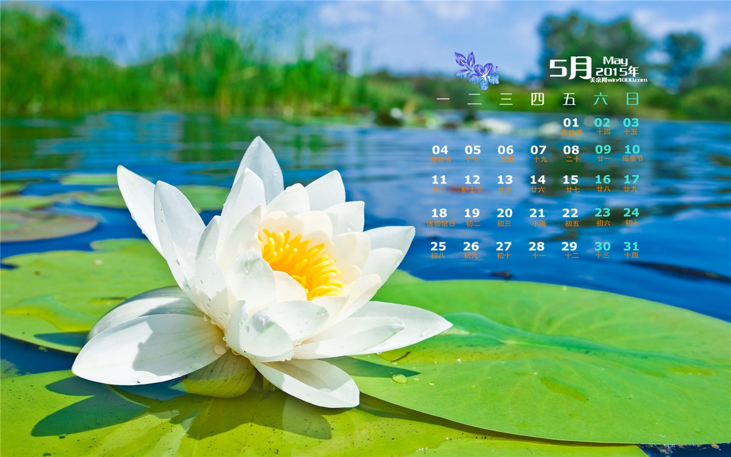2015年5月 月曆壁紙(二) #4 - 1440x900