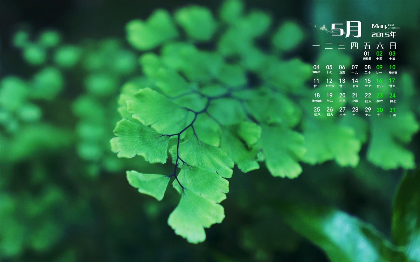 2015年5月 月曆壁紙(二) #5 - 1440x900