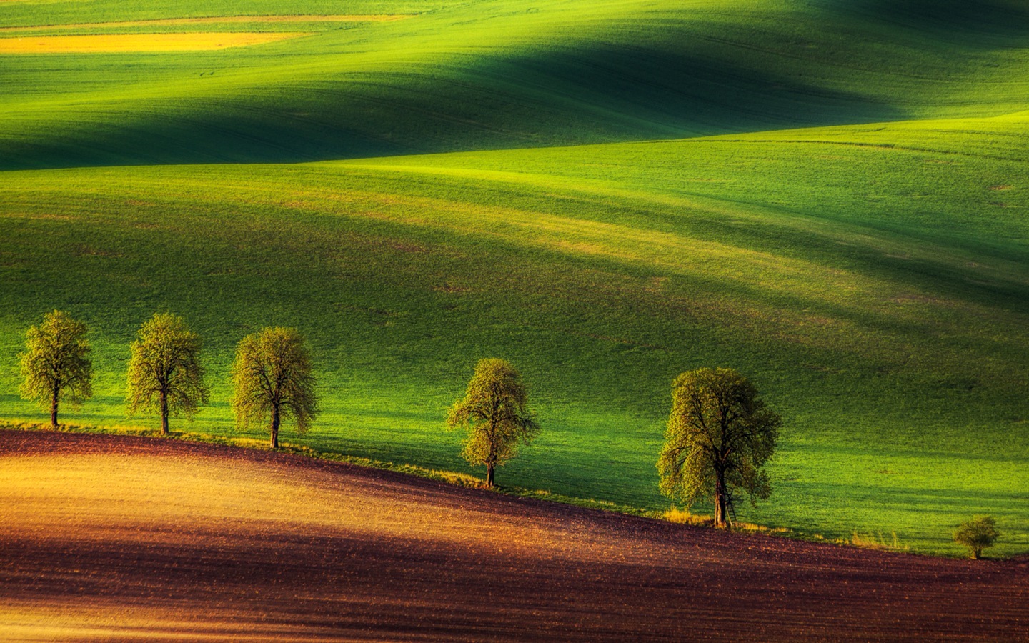 Windows-10 Vorschau Wallpapers Pack (3) #8 - 1440x900