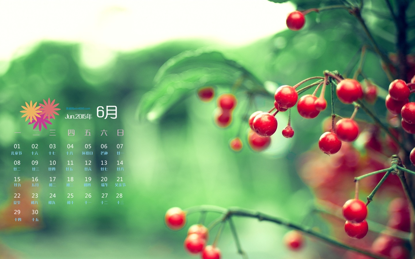 Juni 2015 Kalender Wallpaper (1) #10 - 1440x900