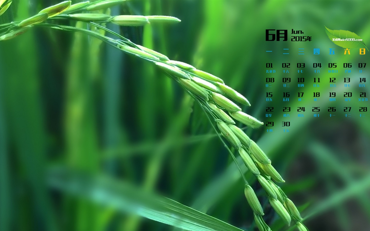 2015年6月 月历壁纸(一)14 - 1440x900