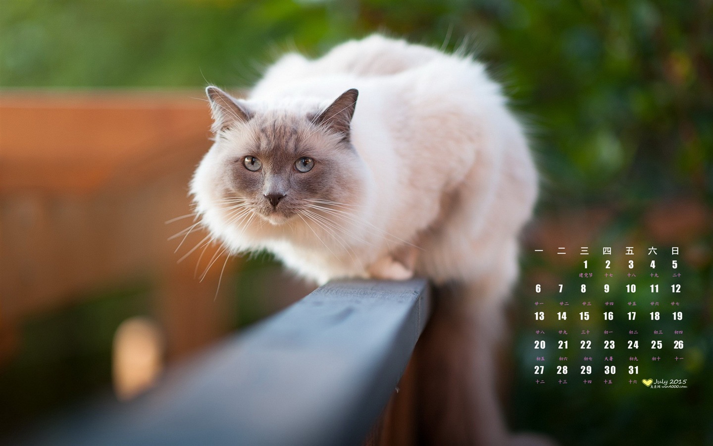 Juli 2015 Kalender Wallpaper (1) #1 - 1440x900