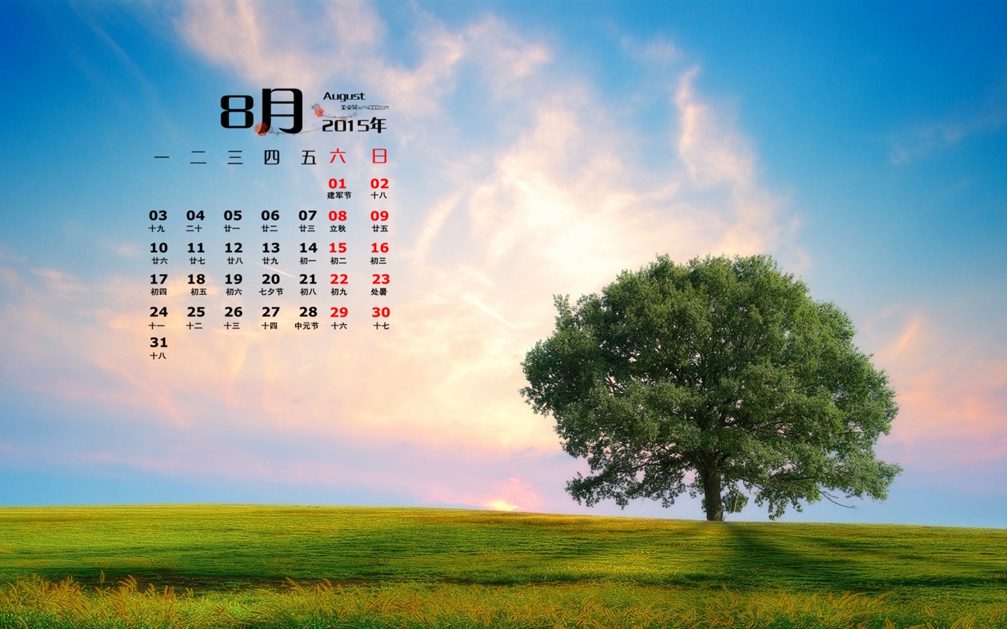 2015년 8월 캘린더 벽지 (1) #8 - 1440x900