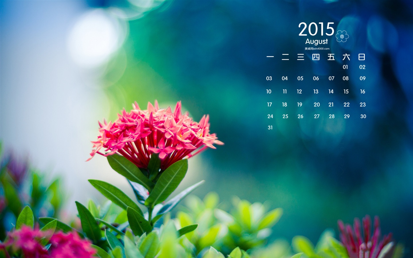 2015年8月 月曆壁紙(一) #12 - 1440x900