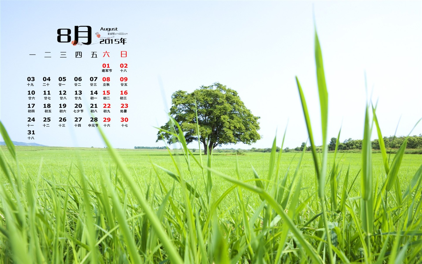 August 2015 calendar wallpaper (1) #13 - 1440x900