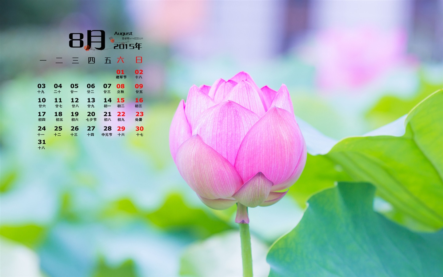 2015年8月 月历壁纸(一)15 - 1440x900