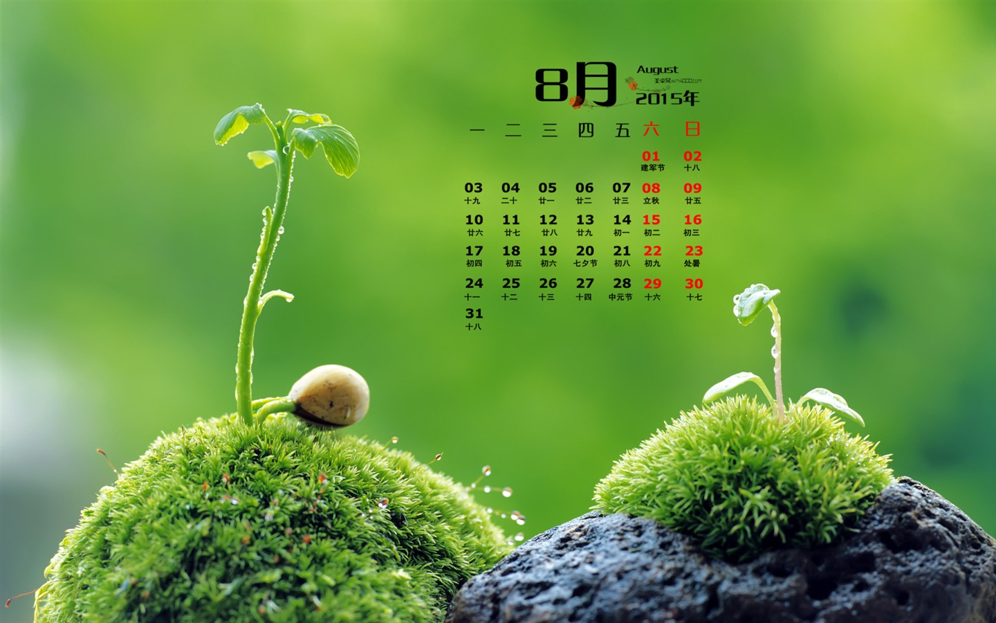 2015年8月 月曆壁紙(一) #16 - 1440x900