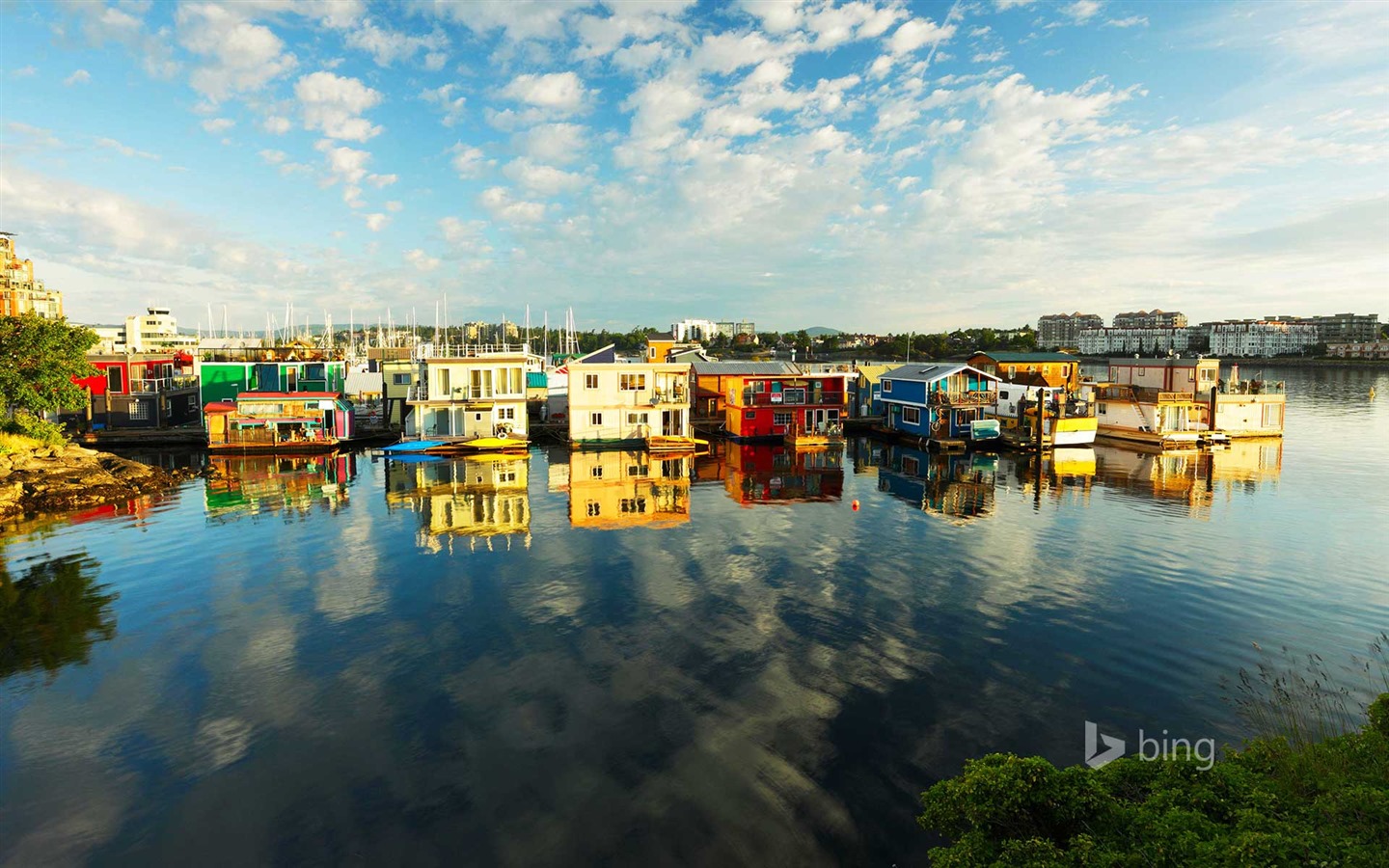 Mai 2015 fonds d'écran HD Bing #1 - 1440x900