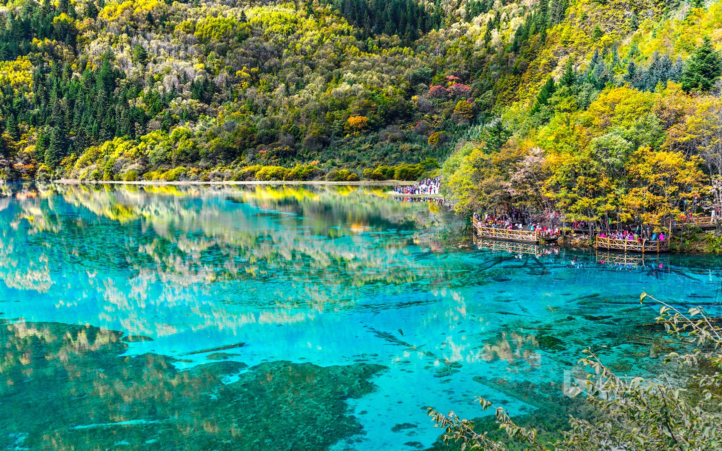 Mai 2015 fonds d'écran HD Bing #16 - 1440x900