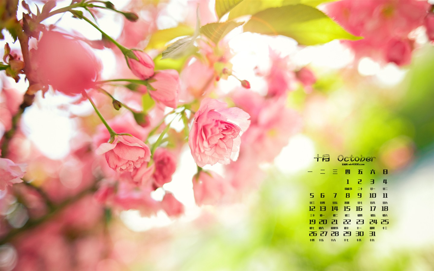 2015年10月 月曆壁紙(一) #9 - 1440x900