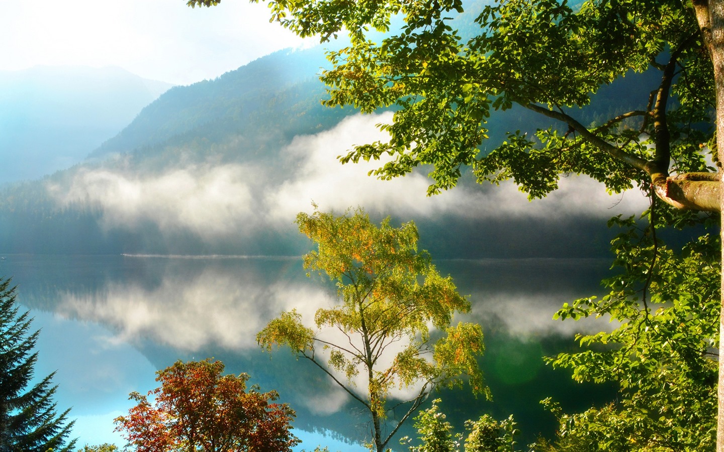 Les arbres, les montagnes, l'eau, lever et coucher du paysage de nature, fonds d'écran HD #40 - 1440x900