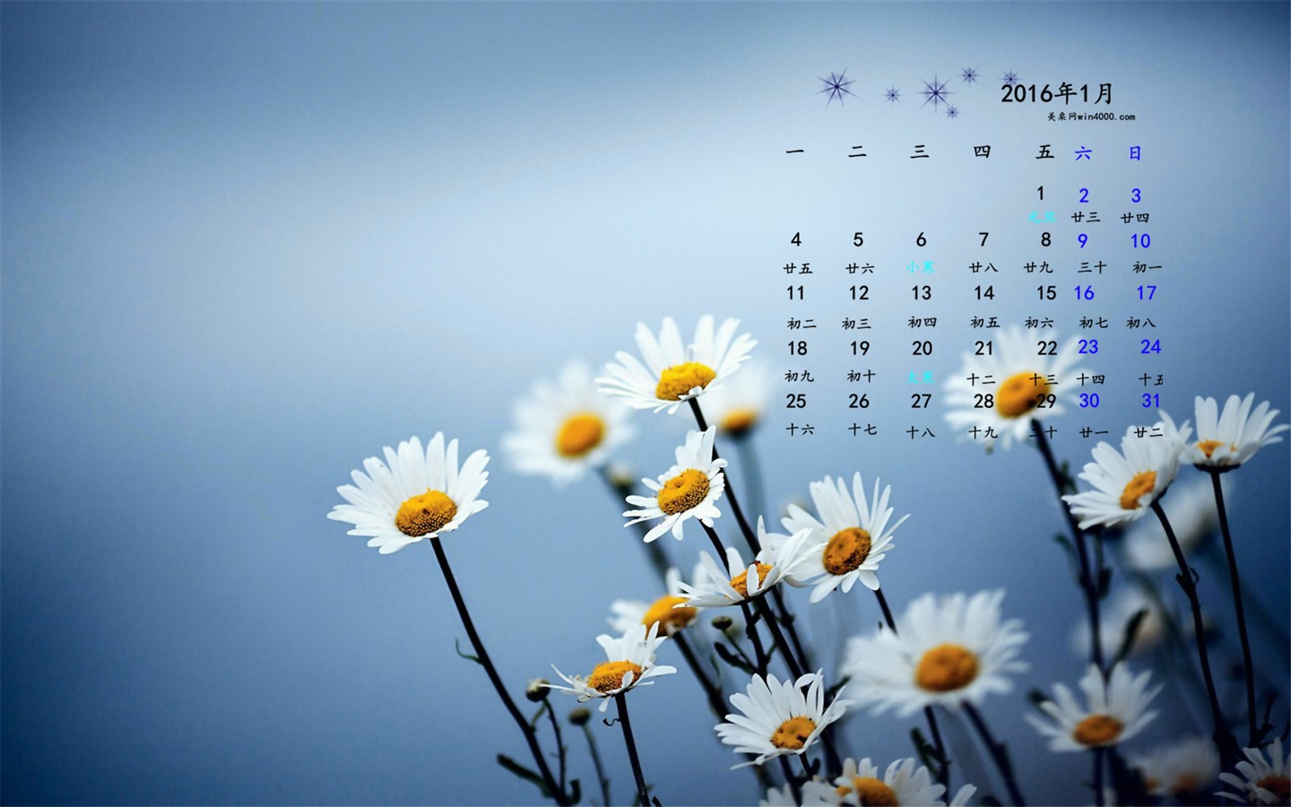 2016年1月 月曆壁紙(一) #3 - 1440x900