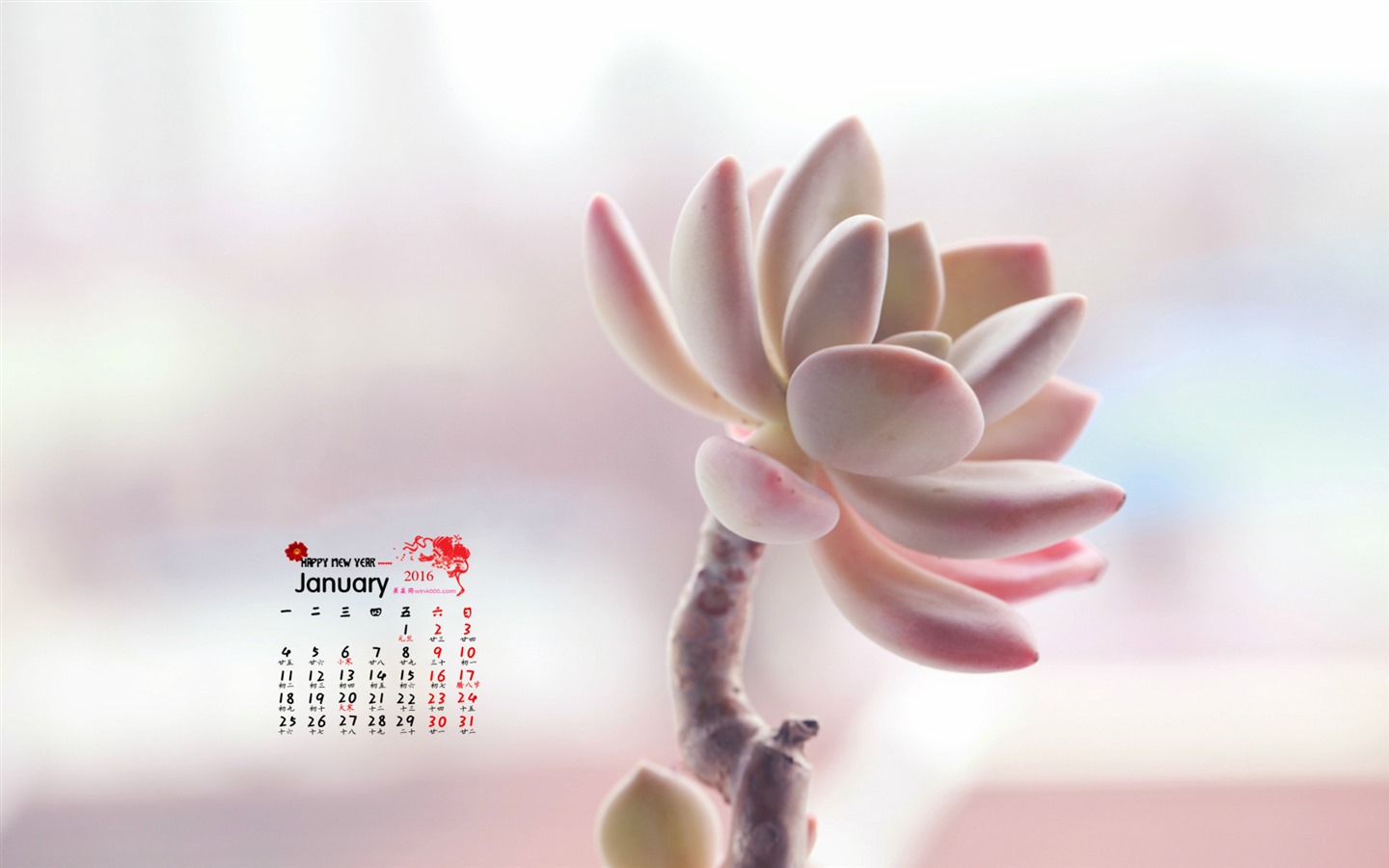 Januar 2016 Kalender Wallpaper (1) #4 - 1440x900