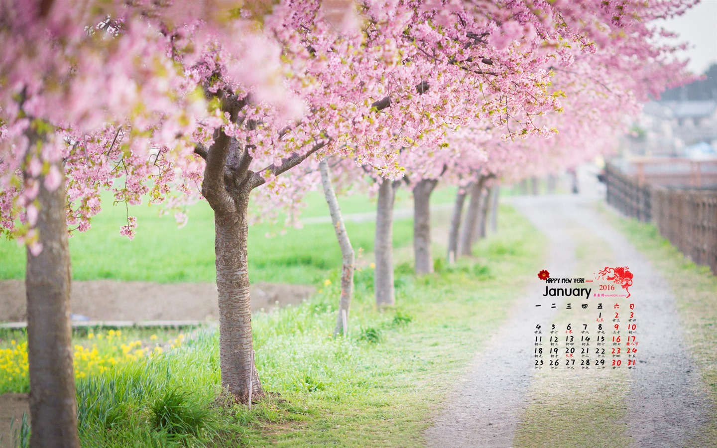 2016年1月 月曆壁紙(一) #7 - 1440x900
