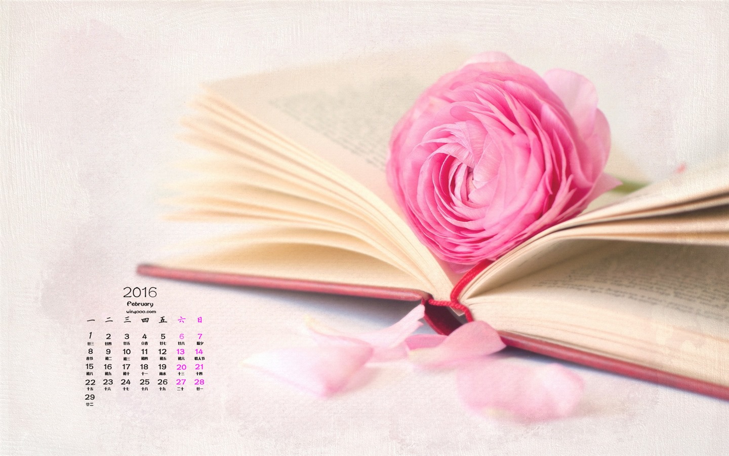 Februar 2016 Kalender Wallpaper (1) #12 - 1440x900