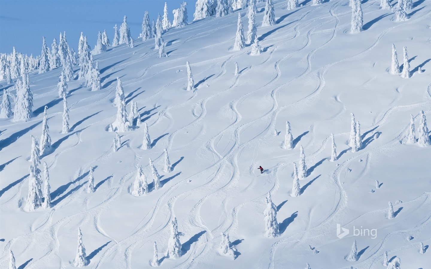 January 2016 Bing theme HD wallpapers #2 - 1440x900