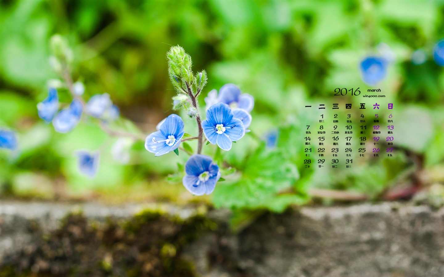 March 2016 calendar wallpaper (1) #10 - 1440x900