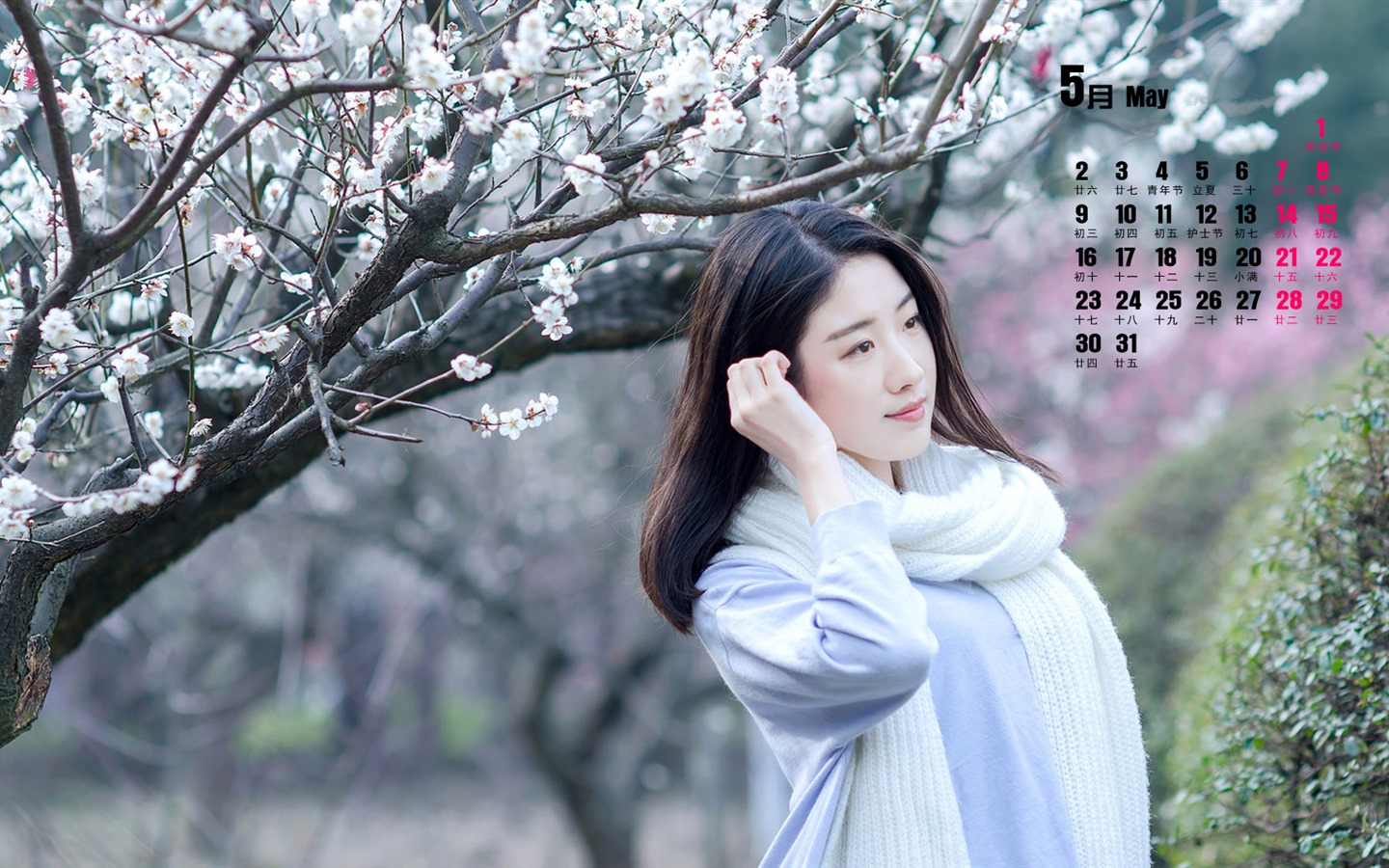 2016年5月 月曆壁紙(一) #2 - 1440x900