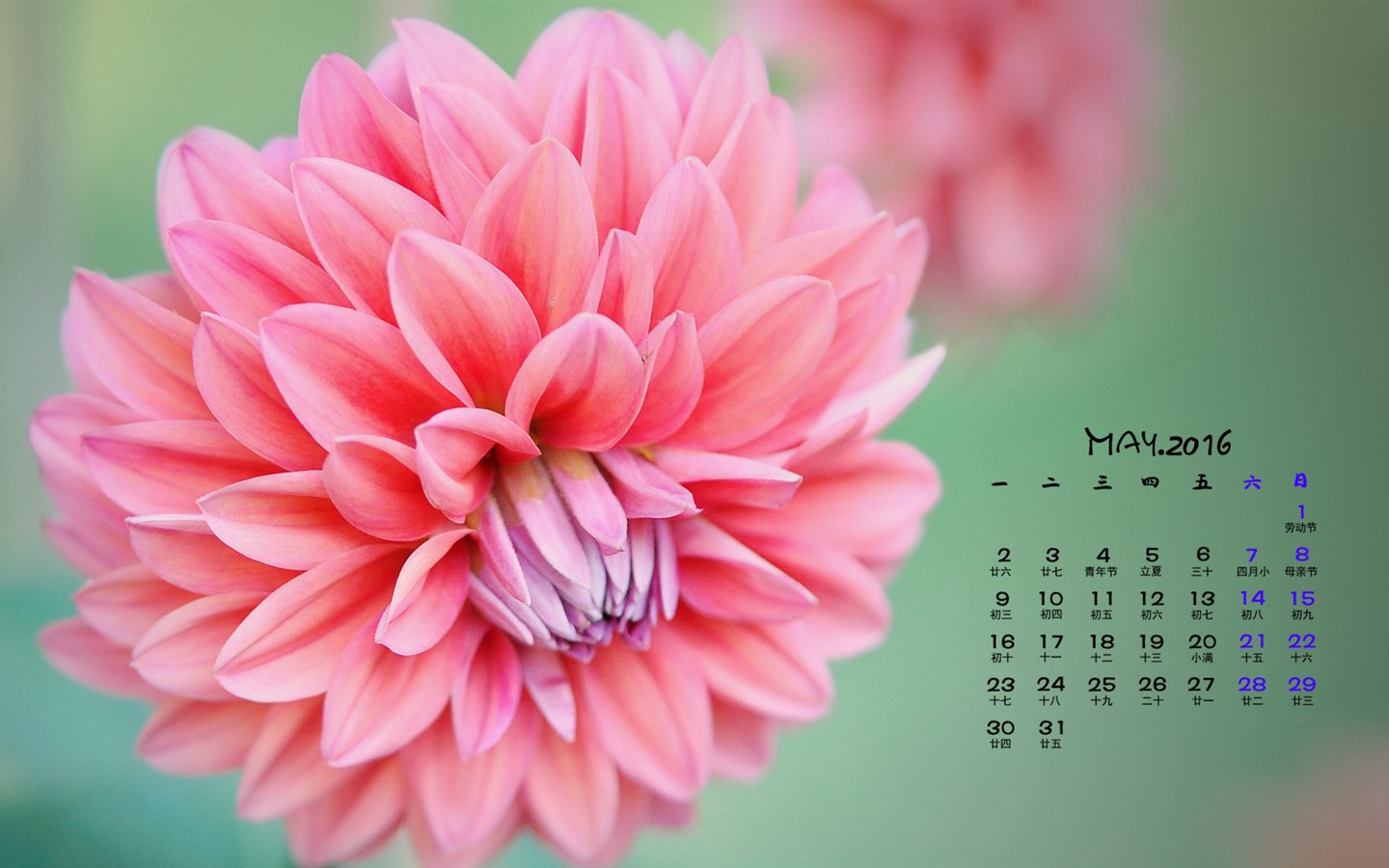 2016年5月 月曆壁紙(一) #11 - 1440x900